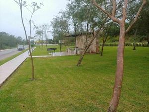 Terreno de 420 m2 en Privada Residencial Tágora Etapa 1 Lote 441 Conkal