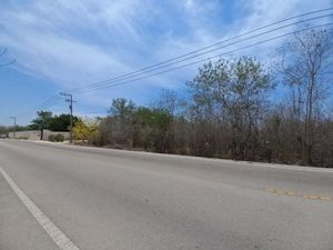 Terreno de 1,000 m2 sobre Carretera Mérida - Progreso - Sierra Papacal