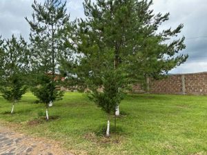 TERRENO PARA CASA DE CAMPO TAPALPA JALISCO