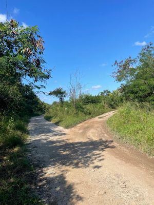 Fincas Mocochá