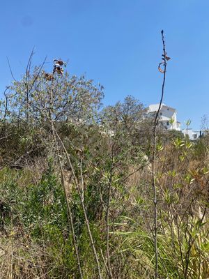 Terreno en Venta en Jilotzingo, Enfrente de Torres Livet