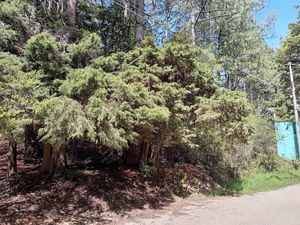 Se vende terreno en La Cañada 