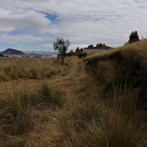 TERRENO EN VENTA EN TOLUCA, CACALOMACAN CON CISTERNA Y ARBOLES FRUTALES