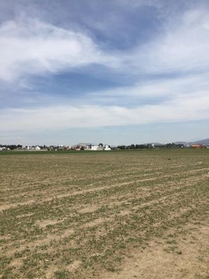 TERRENO EN VENTA EN TOLUCA, SAN MIGUEL ZACANGO