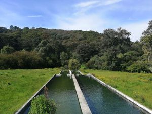 RANCHO EN VENTA EN SAN BARTOLO DE MORELOS, RANCHO EL CRISTO