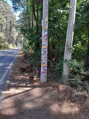 TERRENO EN VENTA EN AVÁNDARO, ESTADO DE MÉXICO