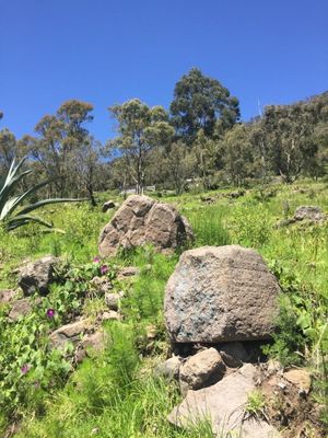 TERRENO EN VENTA EN TOLUCA, SANTIAGO TLAXOMULCO