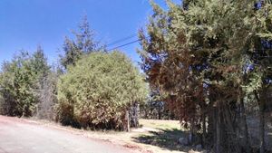 TERRENO EN VENTA EN HUASCA DE OCAMPO, PARA CABAÑAS