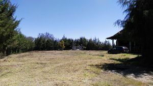 TERRENO EN VENTA EN HUASCA DE OCAMPO, PARA CABAÑAS