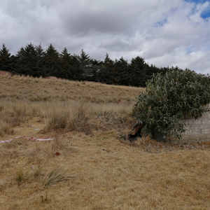 TERRENO EN VENTA EN TOLUCA, CACALOMACAN CON CISTERNA Y ARBOLES FRUTALES