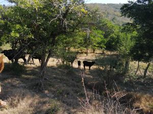 RANCHO EN VENTA EN SAN LUIS POTOSI, CIUDAD VALLES, EL MILAGRO