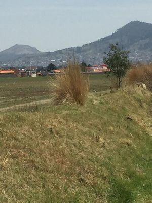 TERRENO EN VENTA EN TOLUCA, SAN MIGUEL ZACANGO