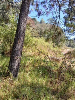 TERRENO EN VENTA EN AVÁNDARO, ESTADO DE MÉXICO