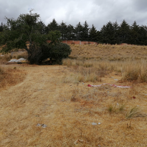 TERRENO EN VENTA EN TOLUCA, CACALOMACAN CON CISTERNA Y ARBOLES FRUTALES