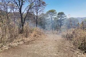 TERRENOS EN VENTA EN VALLE DE BRAVO, PIPIOLTEPEC