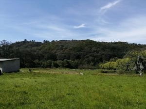 RANCHO EN VENTA EN SAN BARTOLO DE MORELOS, RANCHO EL CRISTO