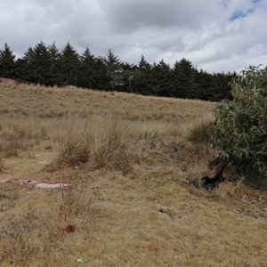 TERRENO EN VENTA EN TOLUCA, CACALOMACAN CON CISTERNA Y ARBOLES FRUTALES