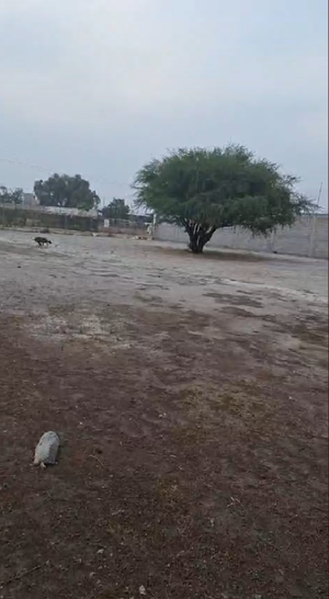 Terreno en Santa Ana Nextlalpan a 15 min del AIFA