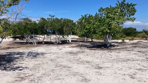 Terreno en Santa Clara frente al mar de 132 ml