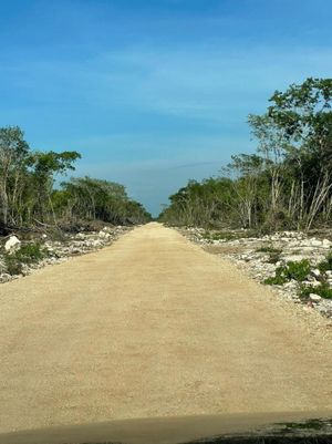 Terrenos en Sierra Papacal