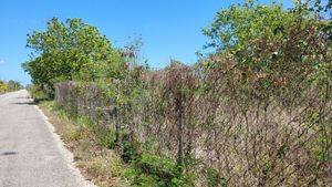 Terreno en Mococha sobre carretera