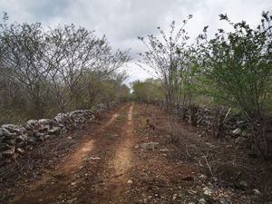 Terreno en Sinanche para desarrollar