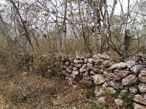 Terreno en Sinanche para desarrollar