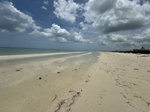 Terreno frente al mar en VENTA en SISAL | ENTREGA INEMDIATA |