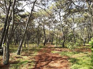 Terreno en Venta con Escritura Publica