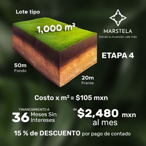 Inversión segura en Marstela Mérida