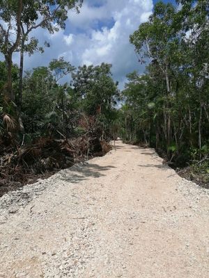 Venta Terreno de 9,925 m2 en esquina Tulum