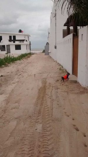 House for rent at the beach, Chicxulub Puerto