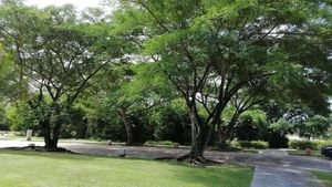 Terreno Frente a Campo de Golf en Yucatán Country Club