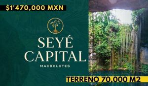 Terreno de inversión con extensa superficie de 70,000m2 en Seyé Capital, Yucatán