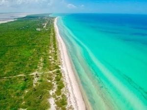 Casa Frente al Mar en Las Hermosas Playas de El Cuyo, Yucatán