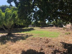 Terreno en Esquina en la Colonia México, Ideal para Proyecto de departamentos