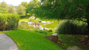 Los Sueños El Bajío venta de terreno Rancho Contento Campo Lago Zapopan Jalisco