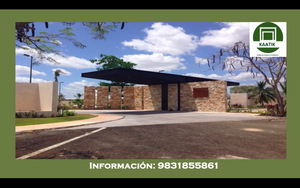 Lote de 450 M2 en residencial Punta Lomas Merida Yucatán.