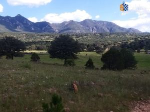 Rancho en Venta en Súchil Durango