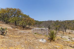 MAS DE 4 HECTAREAS EN VENTA EN SANTA ROSA.