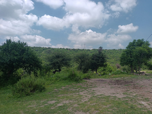 "TERRENO PARA PROYECTO INMOBILIARIO, SANGRE DE CRISTO 2DA. SECCION , LEÓN, GTO