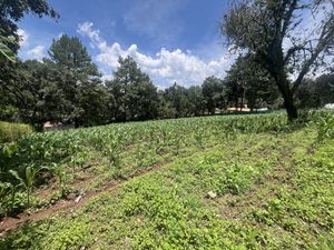 Terreno en venta en San Mateo Acatitlan