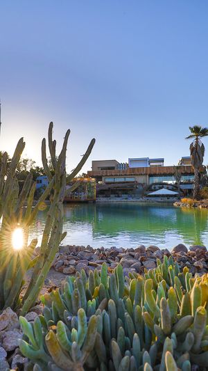 SE TRASPASA Restaurante en la mejor zona del Valle de Guadalupe