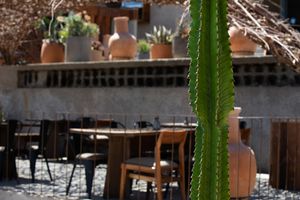 SE TRASPASA Restaurante en la mejor zona del Valle de Guadalupe