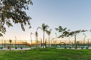 Canchas de padel