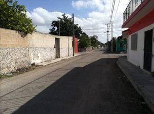 VENTA DE TERRENO EN BACALAR FOLIO 2828 A ORILLAS DE LA LAGUNA  $55,000,000