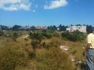 TERRENO EN CHELEM FOLIO 2811 EN VENTA ,RUSTICO PUERTO LINDO $550,000