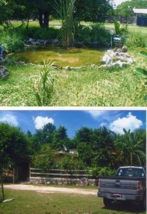 VENTA DE RANCHO DE 207 Has. FOLIO 2833 EN SUCILA  $18,000,000