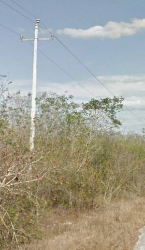 TERRENO EN YUCATAN FOLIO 2752 EN MISNEBALAM CON 5 HECTAREAS, $450 POR M2