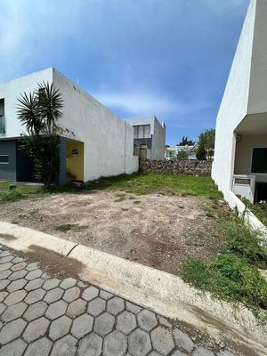 excelente oportunidad Terreno en Venta en Bosque real  Santa Anita